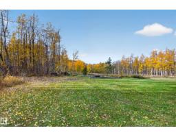 52042 Rge Road 214, Rural Strathcona County, AB T8E1A3 Photo 53