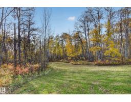 52042 Rge Road 214, Rural Strathcona County, AB T8E1A3 Photo 51