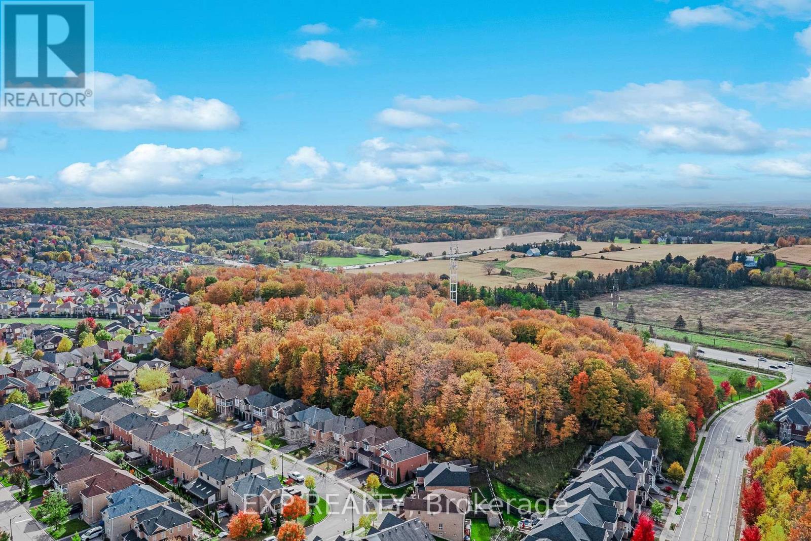 211 Ray Snow Boulevard, Newmarket, ON photo 44
