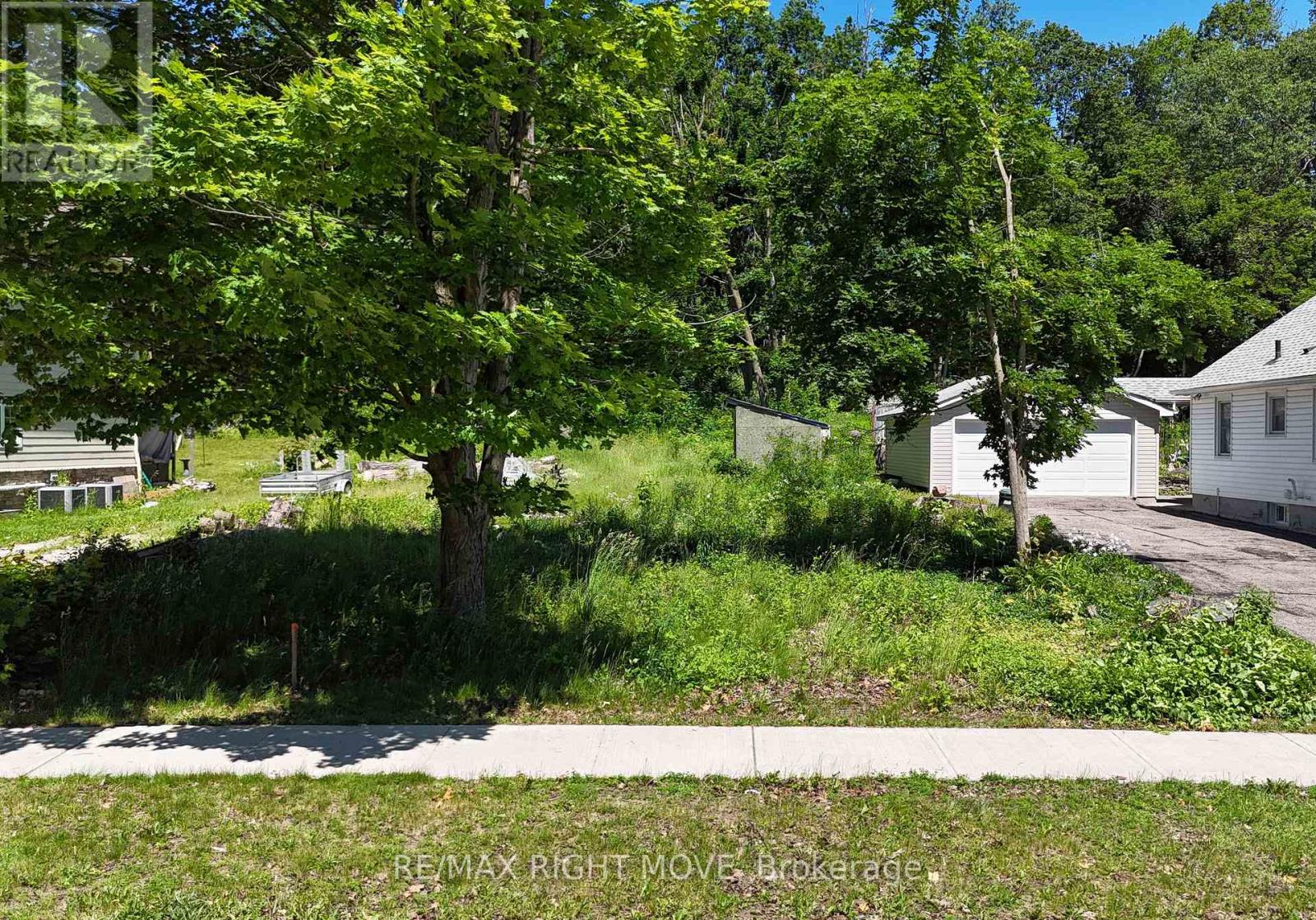 256 Harvey Street, Orillia, ON photo 4