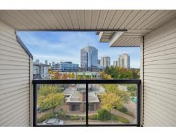 423 10866 City Parkway, Surrey, BC V3T5W9 Photo 28