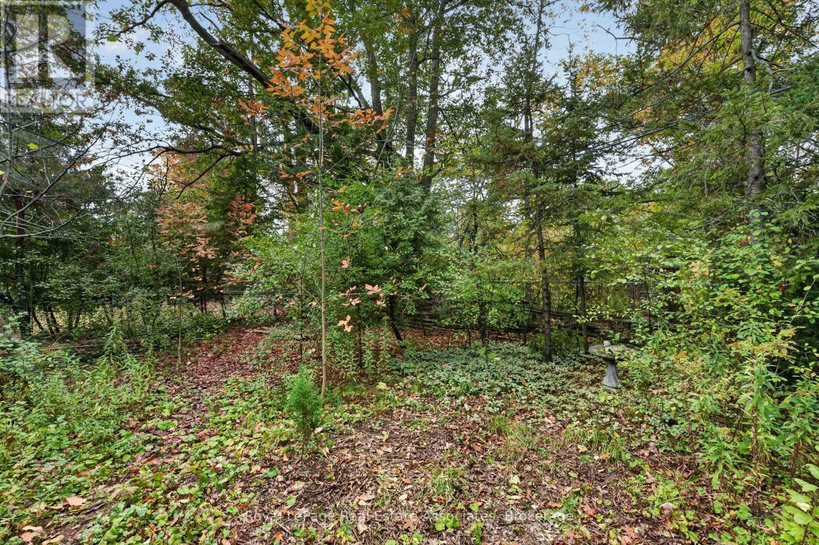 1340 Mountain Grove Avenue, Burlington, ON photo 37