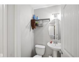 Bonus Room - 4616 209 St Nw, Edmonton, AB T6M0G5 Photo 7