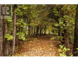 869 Rock Road, North Grenville, ON K0G1T0 Photo 23