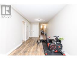 115 Oakland Avenue, Welland, ON L3C2B9 Photo 28