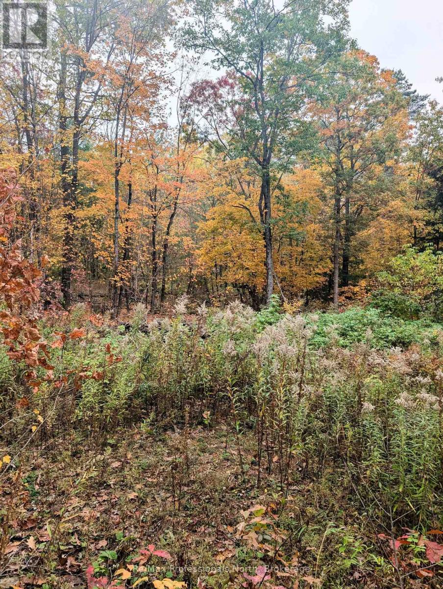 0 Ridge Road — photo 11