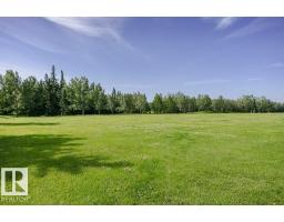 117 Woodstock Nw, Edmonton, AB T5T0H6 Photo 22