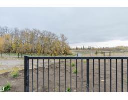 213 Edgemont Gr Nw, Edmonton, AB T6M3J6 Photo 17