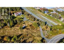 55 Heavy Tree Road, St John S, NL A1G1P5 Photo 44