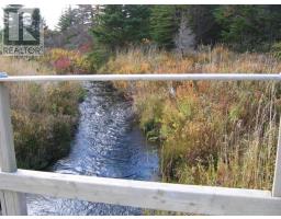 55 Heavy Tree Road, St John S, NL A1G1P5 Photo 36