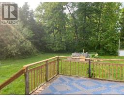 171 Alpine Lake Road, Trent Lakes, ON K0M1A0 Photo 10