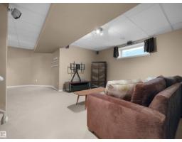 1478 Grant Wy Nw, Edmonton, AB T5T6M9 Photo 42