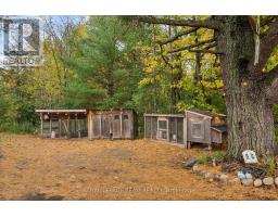 2380 Johnston Road, Horton, ON K7V3Z8 Photo 34