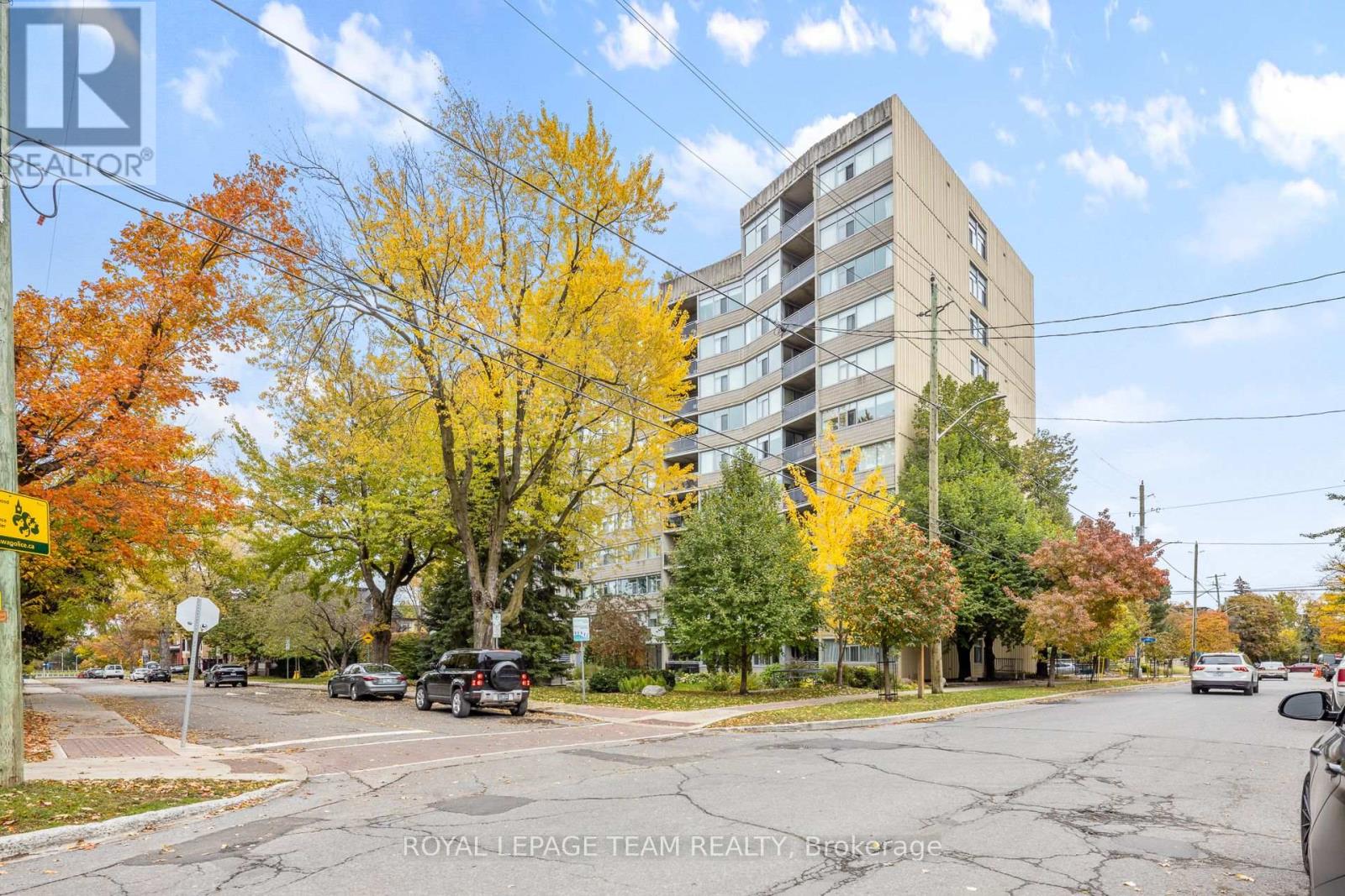 60 Mcleod Street — photo 8