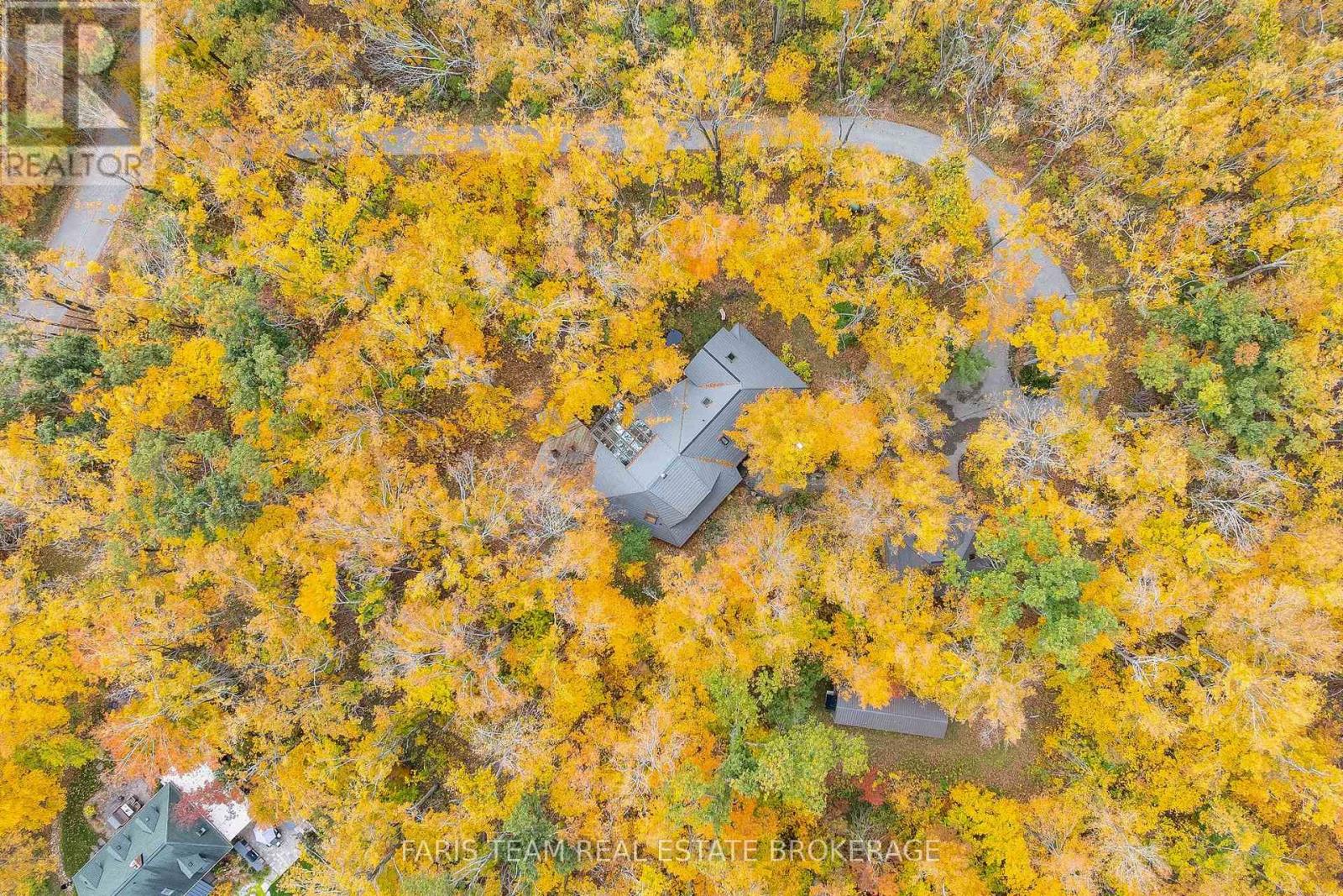 15 Scottdale Drive — photo 45
