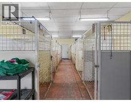 2798 South Talbot Road, Kingsville, ON N0R1B0 Photo 41