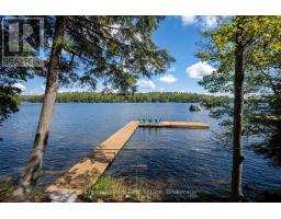 76 Birch Island, Bracebridge), ON P1L1W8 Photo 23