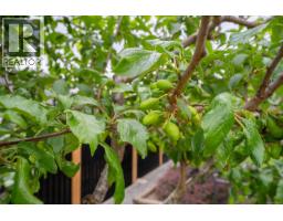 58 2301 Arbot Rd, Nanaimo, BC V9R5K3 Photo 40
