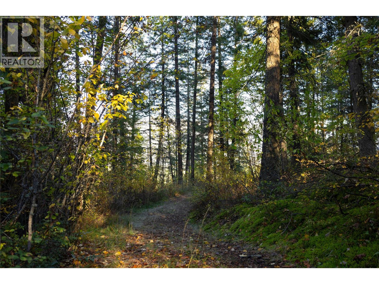  190 Twin Lakes Road, Enderby - Image 1
