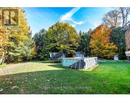 5376 County Road 45 Road, Hamilton Township, ON K0K1C0 Photo 27
