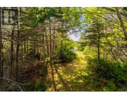 7 Sallesnik Lane, Torbay, NL A1K0B4 Photo 39