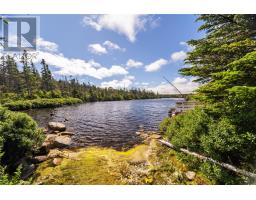 7 Sallesnik Lane, Torbay, NL A1K0B4 Photo 41