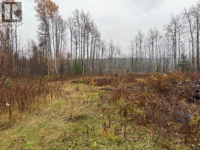  11865 VALLEY VIEW Drive, Topley - Image 1