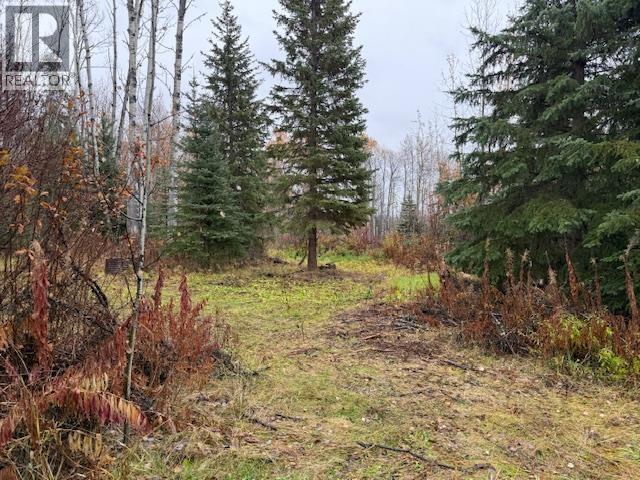 11865 VALLEY VIEW DRIVE, Topley British Columbia