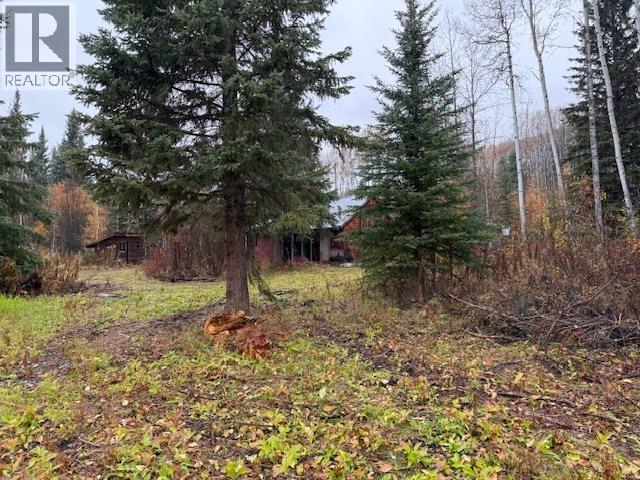  11865 VALLEY VIEW Drive, Topley - Image 1
