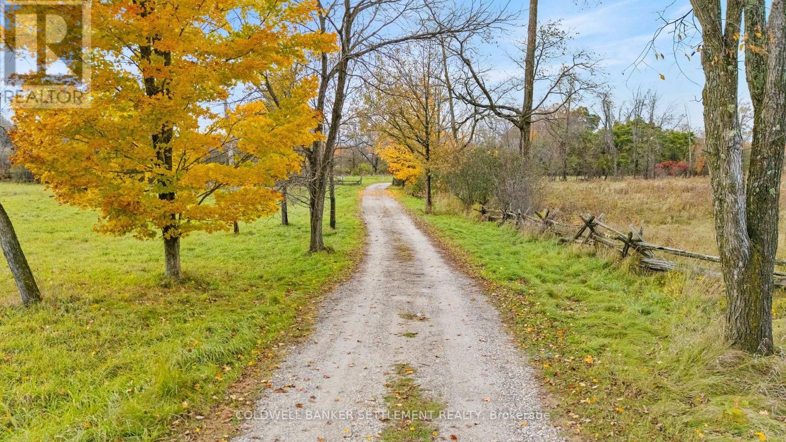 957 Upper Scotch Line Road — photo 41