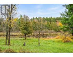 957 Upper Scotch Line Road, Tay Valley, ON K7H3C5 Photo 42