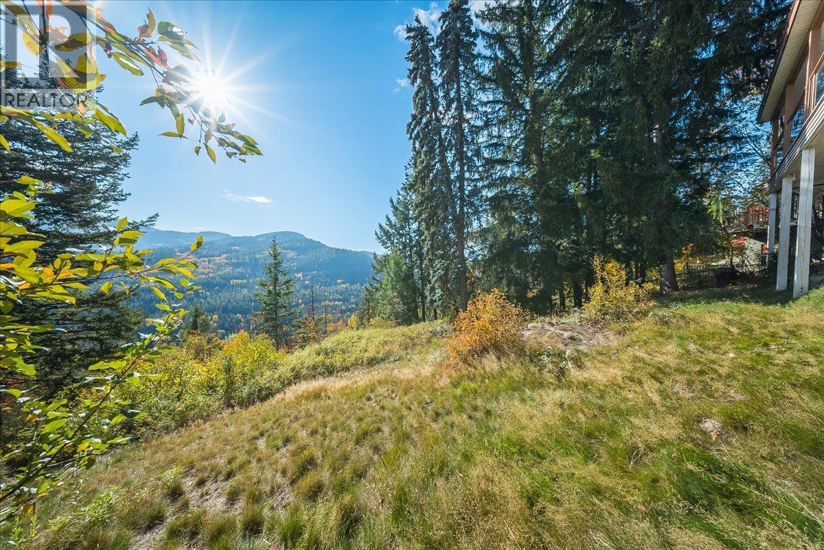 2603 Maple Crescent - 53