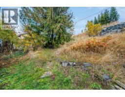 1653 Harasin Alley, Rossland, BC V0G1Y0 Photo 35