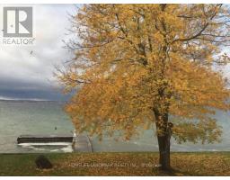 100 Lake Drive N, Georgina, ON L4P1A9 Photo 24
