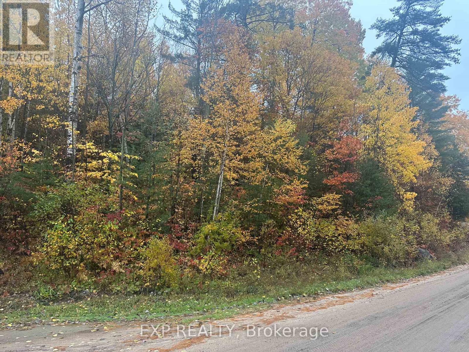 000 Opeongo Road — photo 14