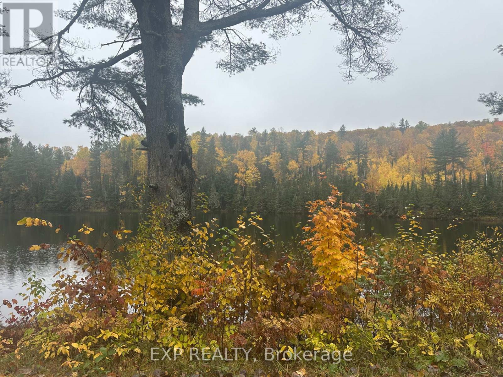 000 Opeongo Road — photo 12