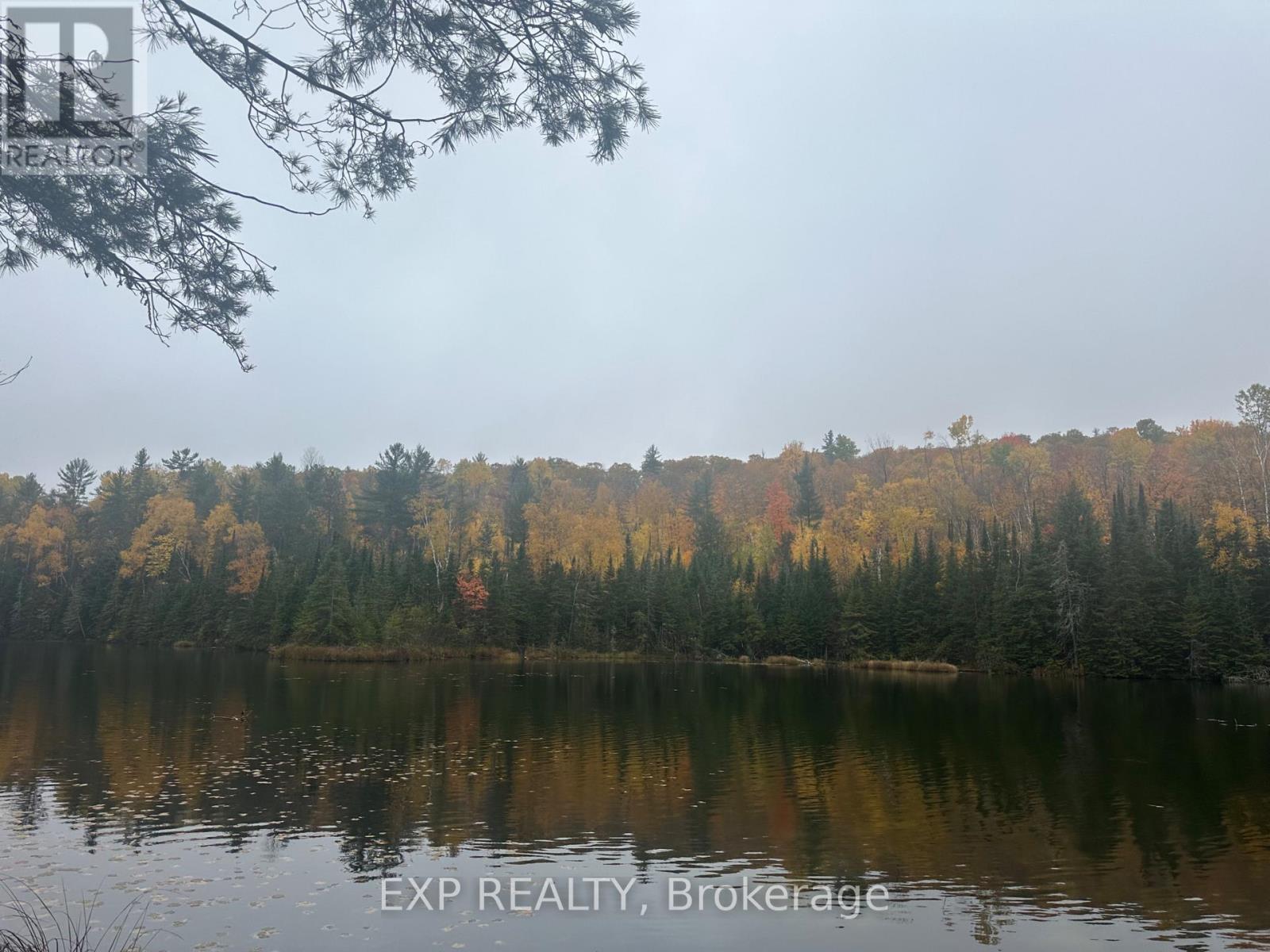 000 Opeongo Road — photo 16