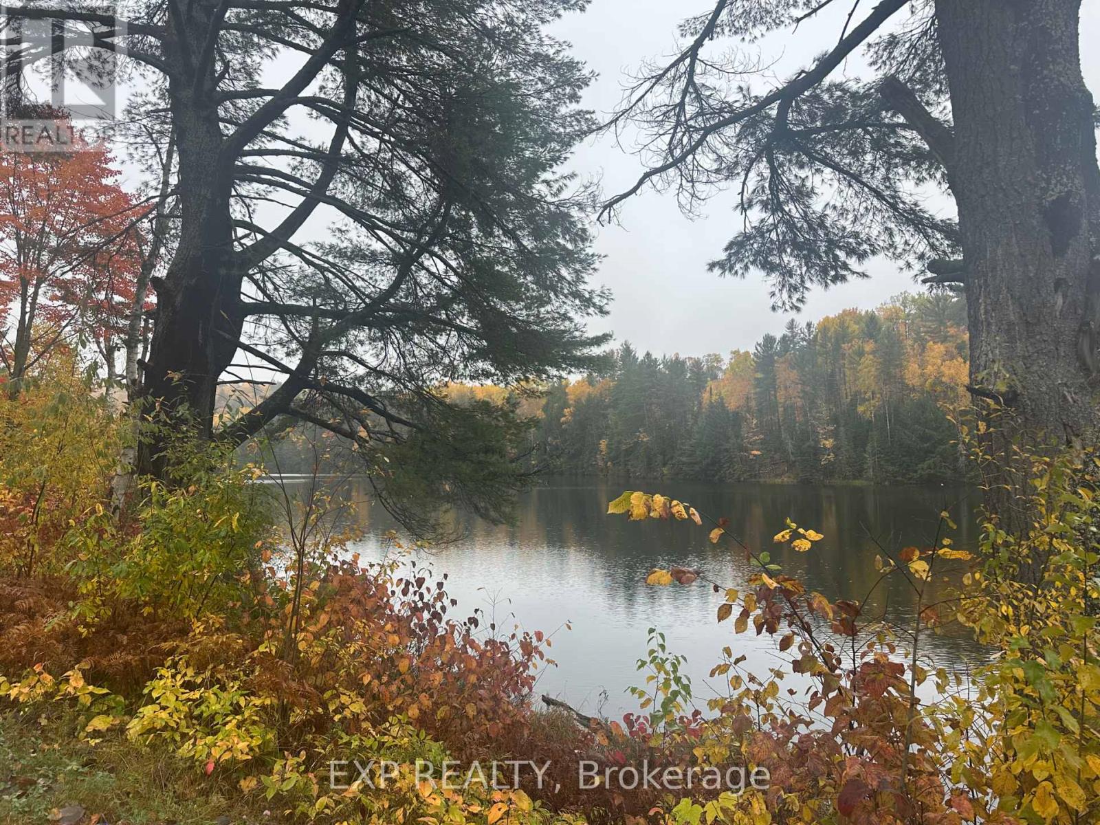 000 Opeongo Road — photo 13