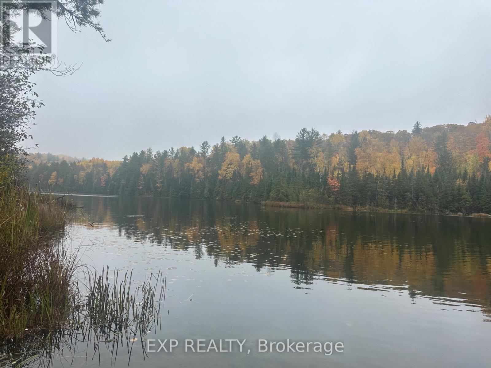 000 Opeongo Road — photo 15
