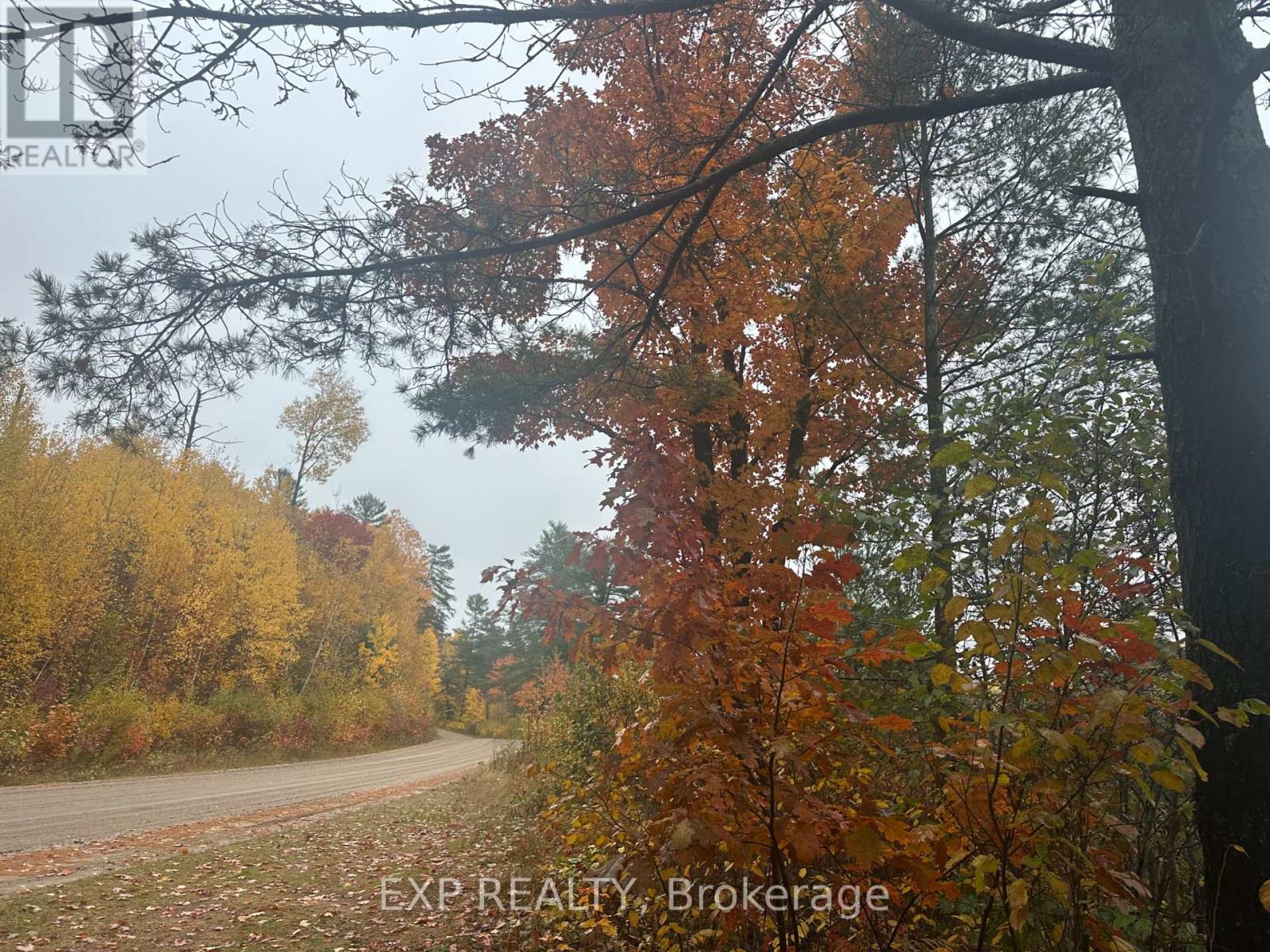 000 Opeongo Road — photo 17