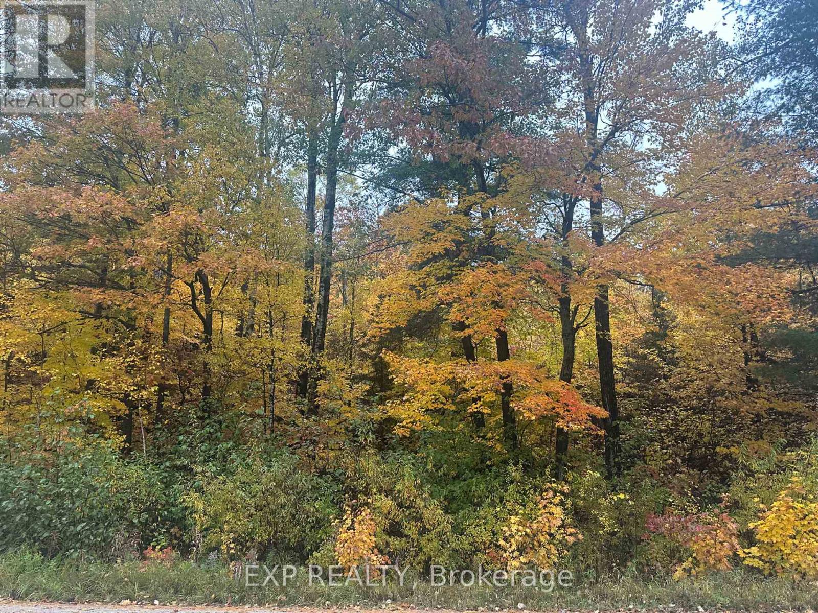 000 Opeongo Road — photo 19