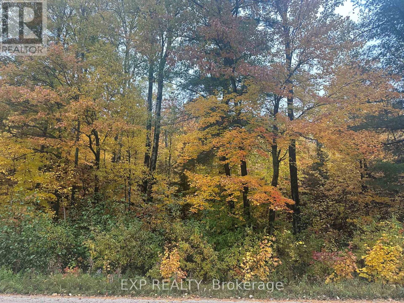 000 Opeongo Road — photo 18