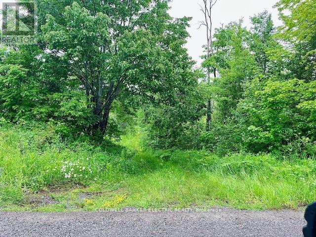 000 Lasswade Road, North Kawartha, ON photo 1