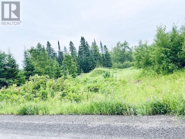 000 Lasswade Road, North Kawartha, ON photo 2