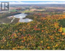 Pt Lot 20 Con 5 Concession, Uxbridge, ON L9P1R2 Photo 7
