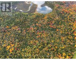 Pt Lot 20 Con 5 Concession, Uxbridge, ON L9P1R2 Photo 8