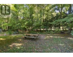 77170 Orchard Line, Central Huron, ON N0M1G0 Photo 31