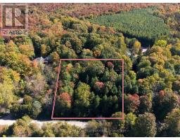 77170 Orchard Line, Central Huron, ON N0M1G0 Photo 32