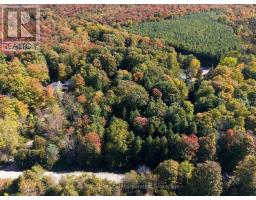 77170 Orchard Line, Central Huron, ON N0M1G0 Photo 33