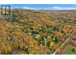 529802 Osprey The Blue Mountains Townline, Grey Highlands, ON L0M1P0 Photo 39